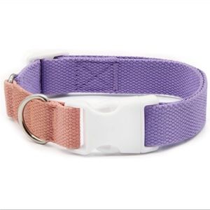 DOG COLLAR & LEASH SET